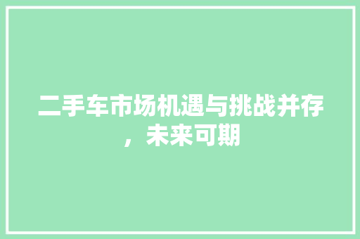 二手车市场机遇与挑战并存，未来可期
