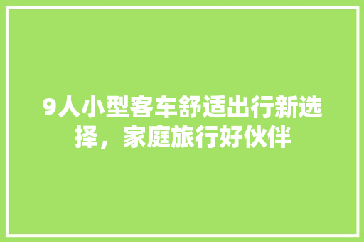 9人小型客车舒适出行新选择，家庭旅行好伙伴