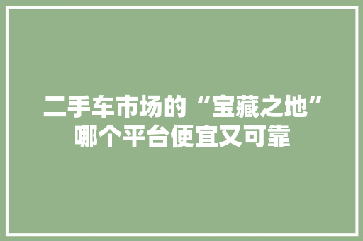 二手车市场的“宝藏之地”哪个平台便宜又可靠
