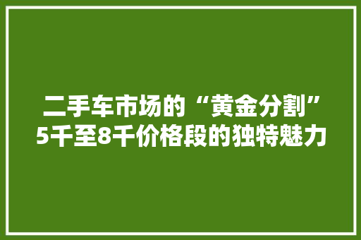 二手车市场的“黄金分割”5千至8千价格段的独特魅力