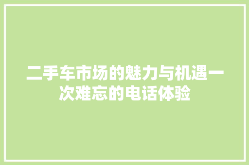 二手车市场的魅力与机遇一次难忘的电话体验