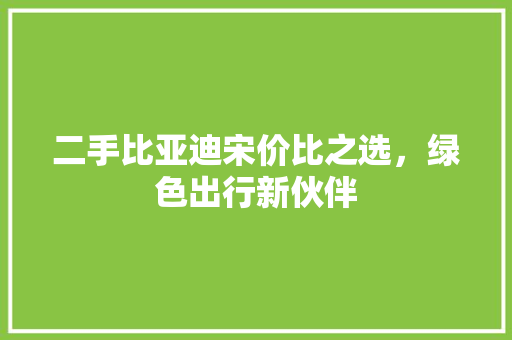 二手比亚迪宋价比之选，绿色出行新伙伴
