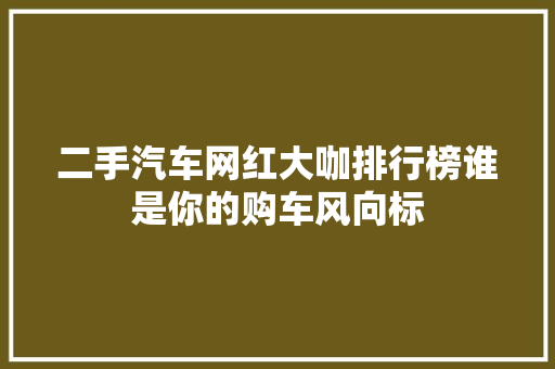 二手汽车网红大咖排行榜谁是你的购车风向标