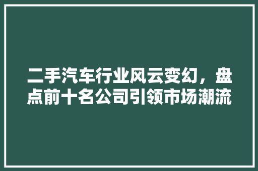 二手汽车行业风云变幻，盘点前十名公司引领市场潮流