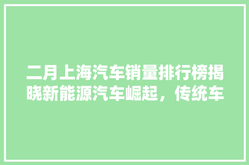 二月上海汽车销量排行榜揭晓新能源汽车崛起，传统车企面临挑战
