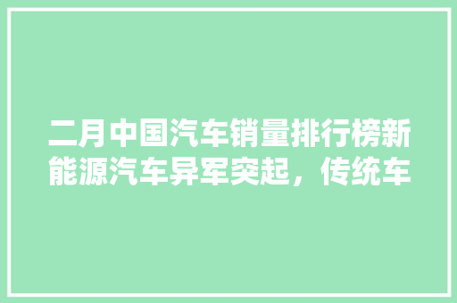 二月中国汽车销量排行榜新能源汽车异军突起，传统车企积极转型