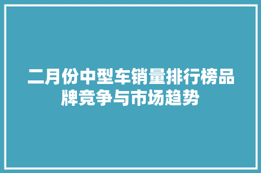 二月份中型车销量排行榜品牌竞争与市场趋势