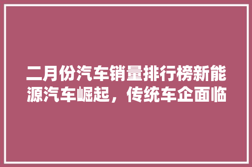 二月份汽车销量排行榜新能源汽车崛起，传统车企面临挑战