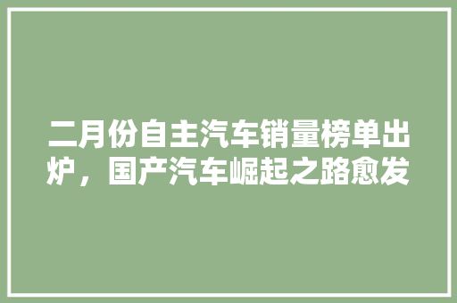 二月份自主汽车销量榜单出炉，国产汽车崛起之路愈发清晰
