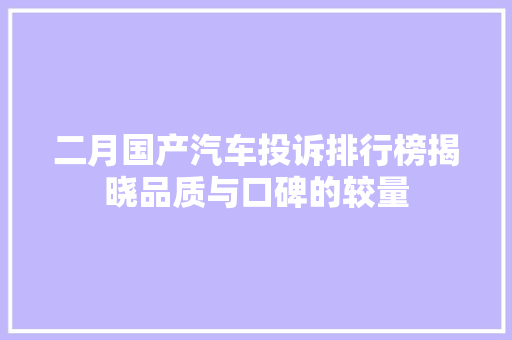 二月国产汽车投诉排行榜揭晓品质与口碑的较量