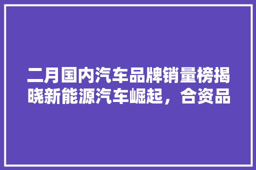 二月国内汽车品牌销量榜揭晓新能源汽车崛起，合资品牌面临挑战