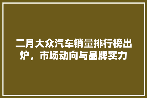 二月大众汽车销量排行榜出炉，市场动向与品牌实力