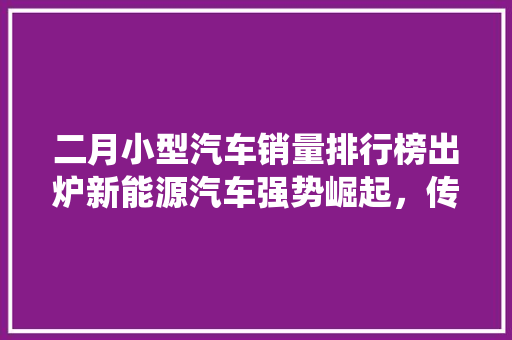 二月小型汽车销量排行榜出炉新能源汽车强势崛起，传统燃油车面临挑战