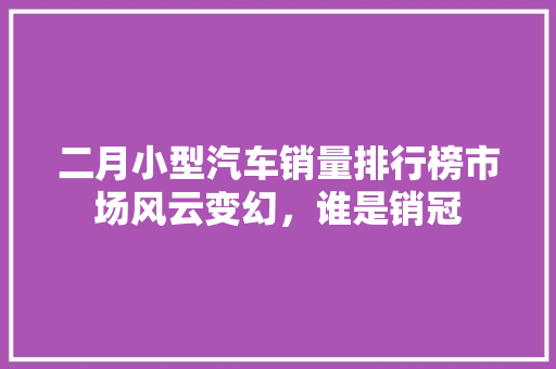 二月小型汽车销量排行榜市场风云变幻，谁是销冠