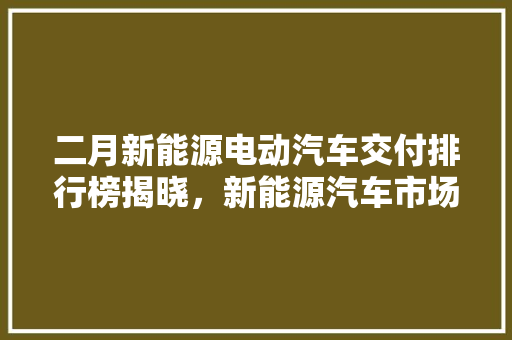 二月新能源电动汽车交付排行榜揭晓，新能源汽车市场持续火热