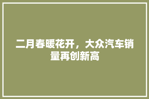 二月春暖花开，大众汽车销量再创新高