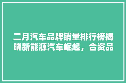 二月汽车品牌销量排行榜揭晓新能源汽车崛起，合资品牌稳居前列