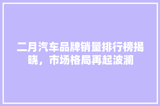 二月汽车品牌销量排行榜揭晓，市场格局再起波澜