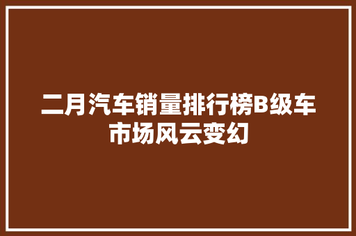 二月汽车销量排行榜B级车市场风云变幻
