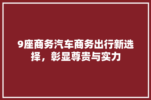 9座商务汽车商务出行新选择，彰显尊贵与实力
