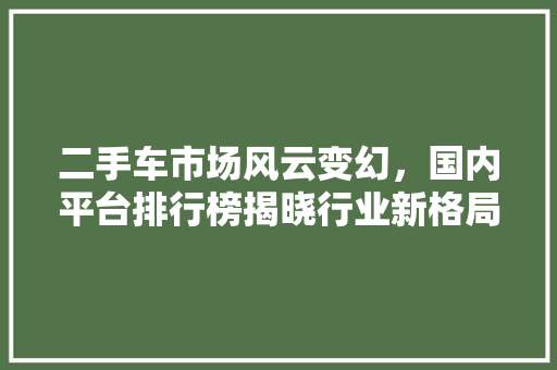 二手车市场风云变幻，国内平台排行榜揭晓行业新格局