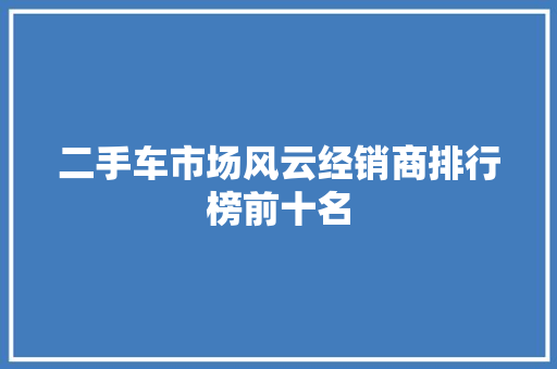 二手车市场风云经销商排行榜前十名