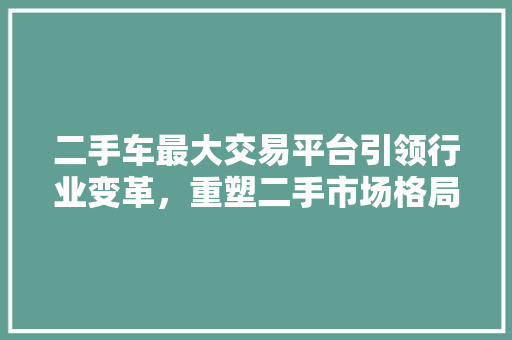 二手车最大交易平台引领行业变革，重塑二手市场格局