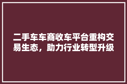 二手车车商收车平台重构交易生态，助力行业转型升级