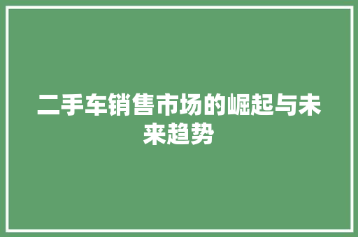 二手车销售市场的崛起与未来趋势
