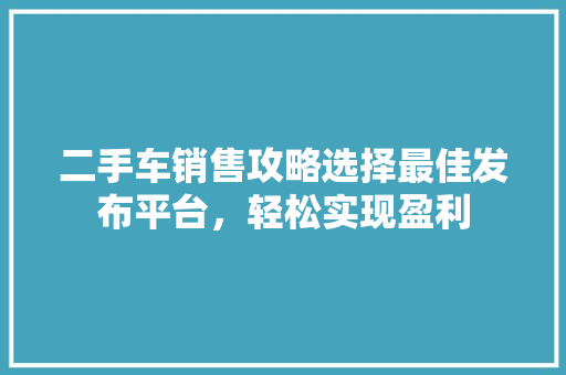 二手车销售攻略选择最佳发布平台，轻松实现盈利