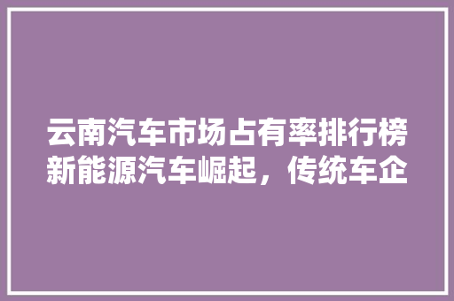云南汽车市场占有率排行榜新能源汽车崛起，传统车企面临挑战