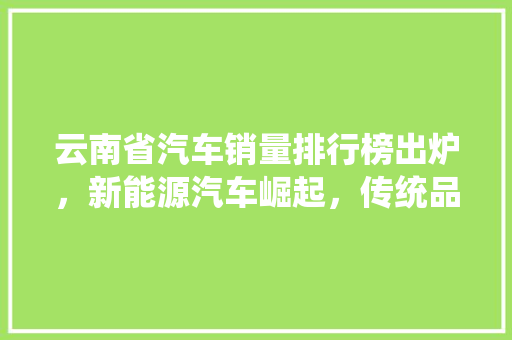 云南省汽车销量排行榜出炉，新能源汽车崛起，传统品牌稳居前列