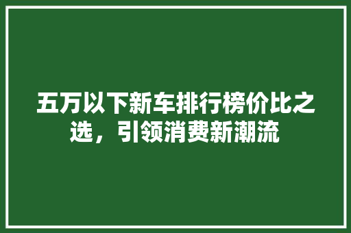五万以下新车排行榜价比之选，引领消费新潮流