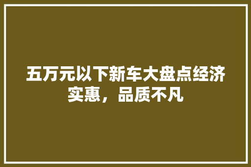 五万元以下新车大盘点经济实惠，品质不凡