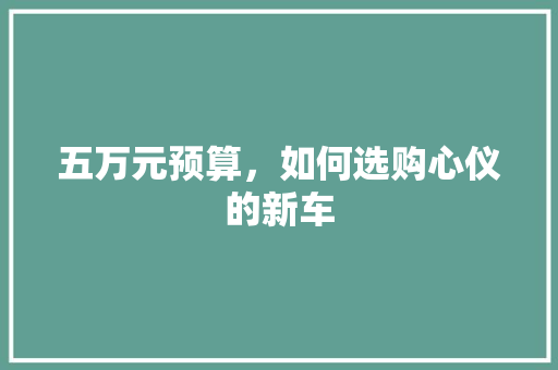 五万元预算，如何选购心仪的新车
