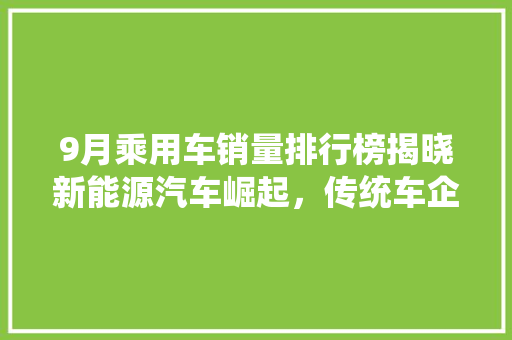 9月乘用车销量排行榜揭晓新能源汽车崛起，传统车企面临挑战