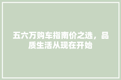 五六万购车指南价之选，品质生活从现在开始