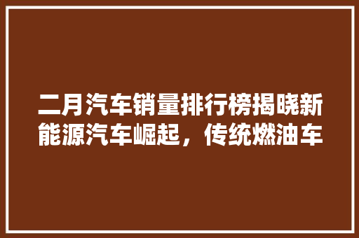 二月汽车销量排行榜揭晓新能源汽车崛起，传统燃油车面临挑战
