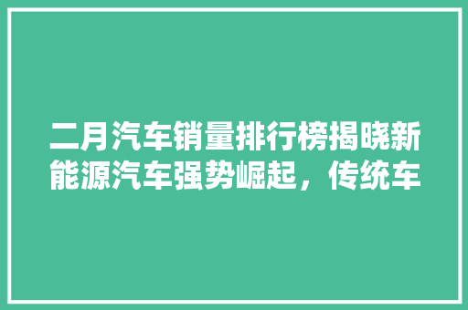 二月汽车销量排行榜揭晓新能源汽车强势崛起，传统车企面临挑战