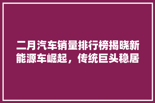 二月汽车销量排行榜揭晓新能源车崛起，传统巨头稳居前列
