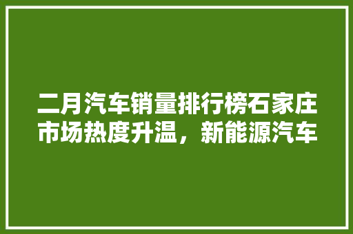 二月汽车销量排行榜石家庄市场热度升温，新能源汽车引领潮流