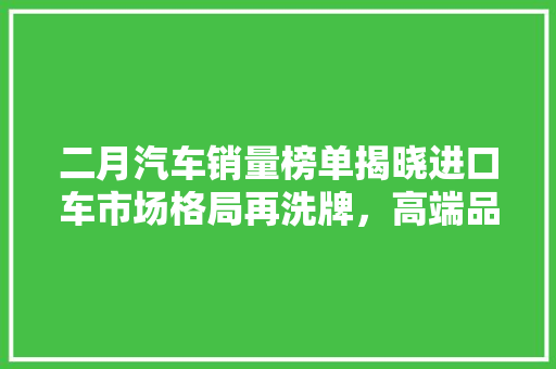 二月汽车销量榜单揭晓进口车市场格局再洗牌，高端品牌崛起成新趋势
