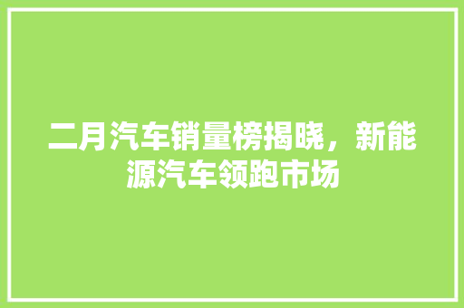 二月汽车销量榜揭晓，新能源汽车领跑市场