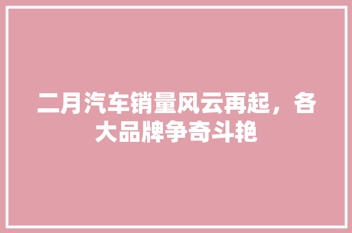二月汽车销量风云再起，各大品牌争奇斗艳