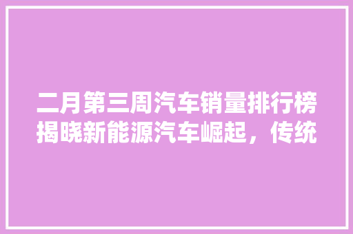 二月第三周汽车销量排行榜揭晓新能源汽车崛起，传统燃油车面临挑战