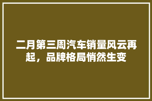 二月第三周汽车销量风云再起，品牌格局悄然生变