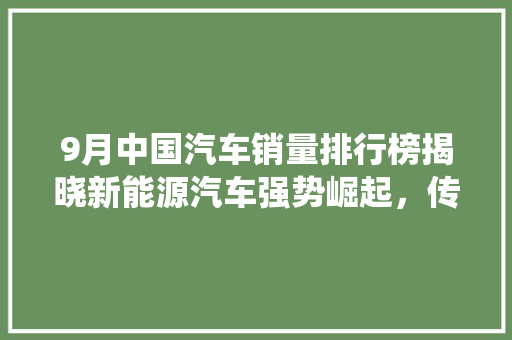 9月中国汽车销量排行榜揭晓新能源汽车强势崛起，传统燃油车遭遇挑战