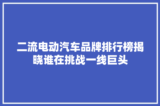 二流电动汽车品牌排行榜揭晓谁在挑战一线巨头