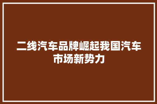 二线汽车品牌崛起我国汽车市场新势力