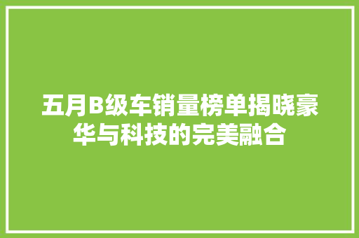 五月B级车销量榜单揭晓豪华与科技的完美融合